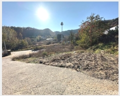  2024Ÿ5681   ϸ ̰ 449-20      (1)