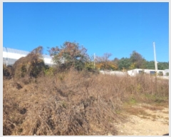  2024Ÿ5681   ϸ ̰ 449-20      (1)