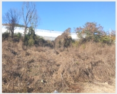  2024Ÿ5681   ϸ ̰ 449-20      (1)