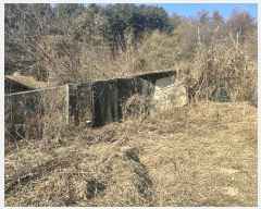  2024Ÿ6424  ֽ   35      ð