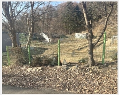  2024Ÿ6424  ֽ   35      ð