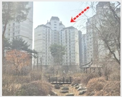  2024Ÿ72414  ֽ ۻ307 16, 5301 101003ȣ (,ֺϿ콺丮)    Ʈ