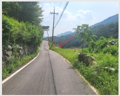  2024Ÿ81258   û  666      (1)