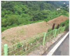  2024Ÿ81258   û  666      (1)