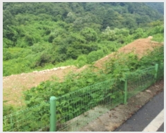  2024Ÿ81258   û  666      (1)