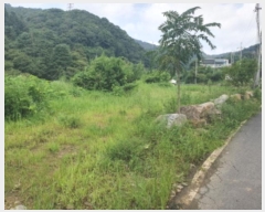  2024Ÿ81258   û  666      (1)