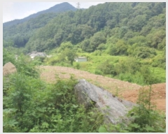  2024Ÿ81258   û  666      (1)