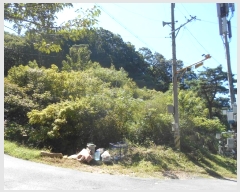  2024Ÿ81456   û ȣ 43-4      (Ӿ)