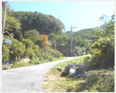  2024Ÿ81456   û ȣ 43-4      (Ӿ)