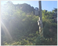  2024Ÿ81456   û ȣ 43-4      (Ӿ)