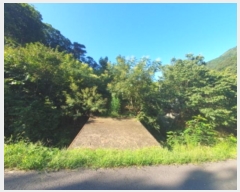  2024Ÿ81456   û ȣ 43-4      (Ӿ)