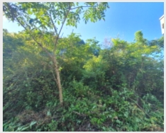  2024Ÿ81456   û ȣ 43-4      (Ӿ)