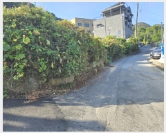  2024Ÿ82916  ֽ ȭ ̸ 128-15      (Ӿ)