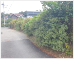  2024Ÿ82916  ֽ ȭ ̸ 128-15      (Ӿ)