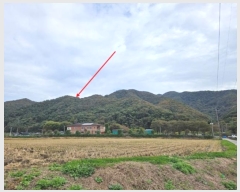  2024Ÿ��83896  �Ӿ߰��