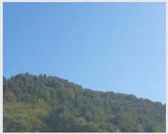  2024Ÿ��83896  �Ӿ߰��