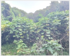  2024Ÿ��83896  �Ӿ߰��