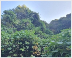  2024Ÿ��83896  �Ӿ߰��