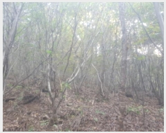  2024Ÿ��83896  �Ӿ߰��