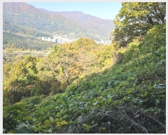  2024Ÿ84219  ֽ ȭ  132-30      (Ӿ)