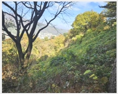  2024Ÿ84219  ֽ ȭ  132-30      (Ӿ)