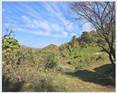  2024Ÿ84219  ֽ ȭ  132-30      (Ӿ)