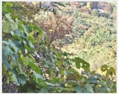  2024Ÿ84219  ֽ ȭ  132-30      (Ӿ)