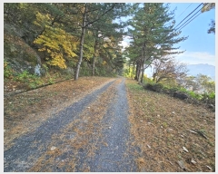  2024Ÿ84219  ֽ ȭ  132-30      (Ӿ)