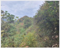  2024Ÿ84219  ֽ ȭ  132-30      (Ӿ)