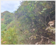  2024Ÿ84219  ֽ ȭ  132-30      (Ӿ)