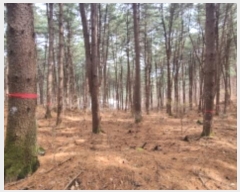  2024Ÿ��85021  �Ӿ߰��