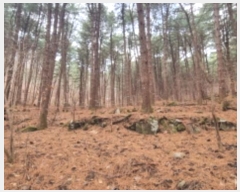  2024Ÿ��85021  �Ӿ߰��