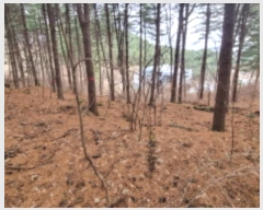  2024Ÿ��85021  �Ӿ߰��