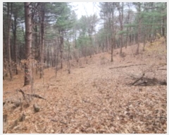  2024Ÿ��85021  �Ӿ߰��