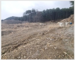  2024Ÿ��85021  �Ӿ߰��