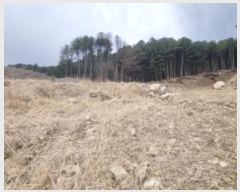  2024Ÿ��85021  �Ӿ߰��