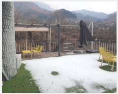  2024Ÿ��86062 ��� �����ֽ� ������ �ܹ渮 370      �ٸ��ü�,�󰡰��