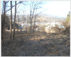  2024Ÿ86369  ֽ ȭ 긮 259-2      (1)