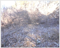  2024Ÿ86369  ֽ ȭ 긮 259-2      (1)