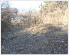  2024Ÿ86369  ֽ ȭ 긮 259-2      (1)