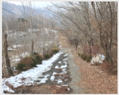  2024Ÿ��87270 ��� ���� �ϸ� ��и� 426-15      ����(��1)���