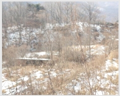  2024Ÿ��87270 ��� ���� �ϸ� ��и� 426-15      ����(��1)���