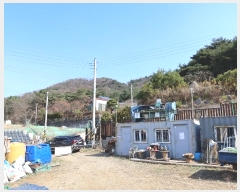  2024Ÿ��1061  ���ð��