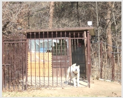  2024Ÿ��1061  ���ð��