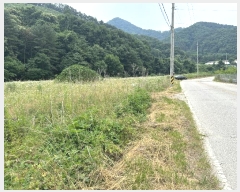  2024Ÿ3203   ϸ ȭǸ 115-1      ()