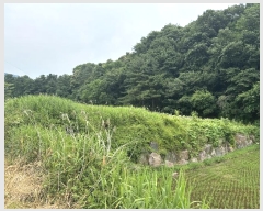  2024Ÿ3203   ϸ ȭǸ 115-1      ()