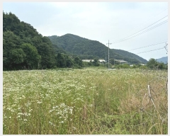  2024Ÿ3203   ϸ ȭǸ 115-1      ()