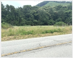  2024Ÿ3203   ϸ ȭǸ 115-1      ()