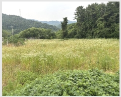  2024Ÿ3203   ϸ ȭǸ 115-1      ()