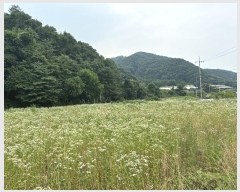  2024Ÿ3203   ϸ ȭǸ 115-1      ()